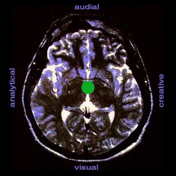 Left Brain Right Brain